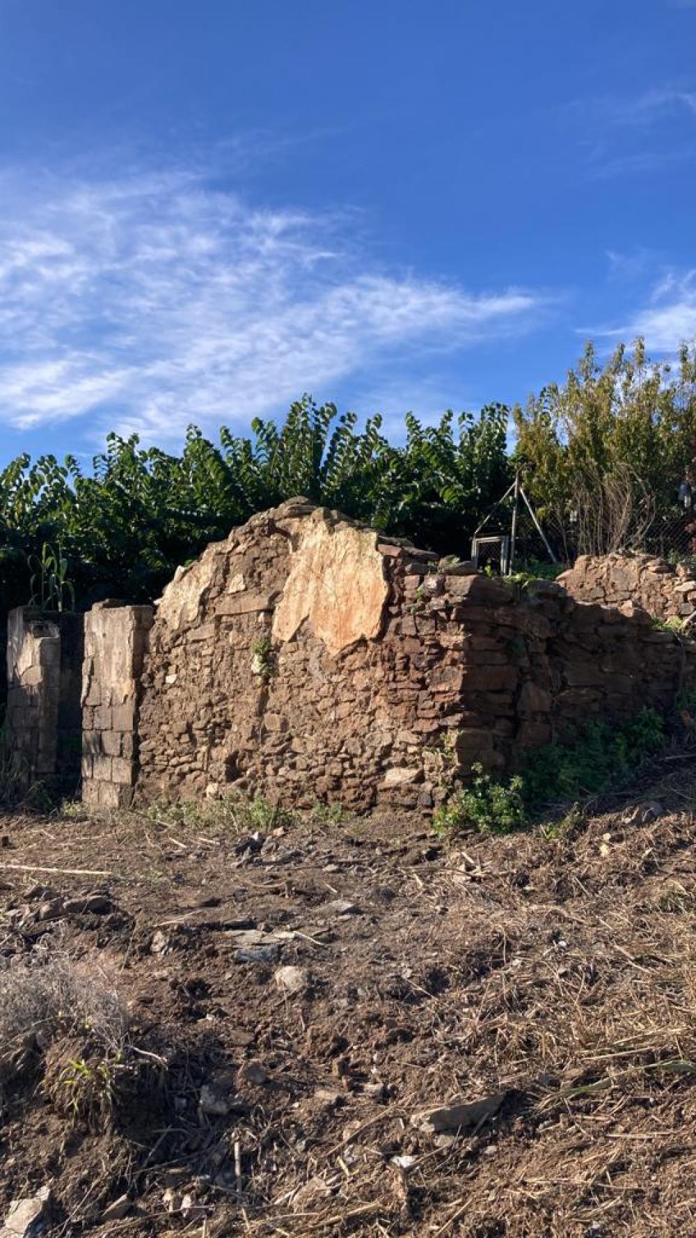  en venta finca rústica Salobreña Costa Tropical 3