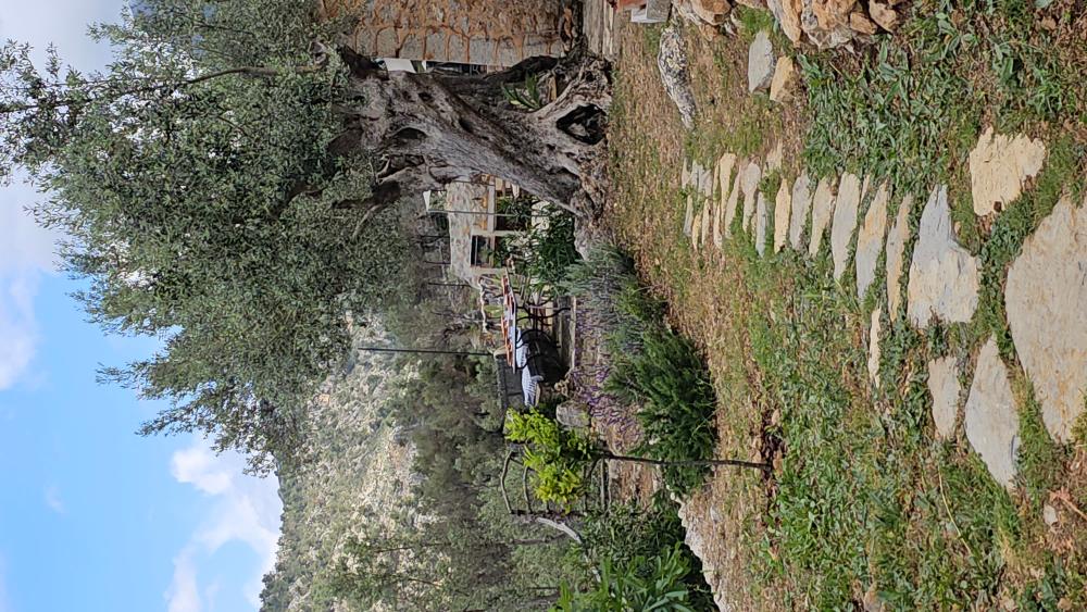  en venta finca rústica Fornalutx Tramuntana 17