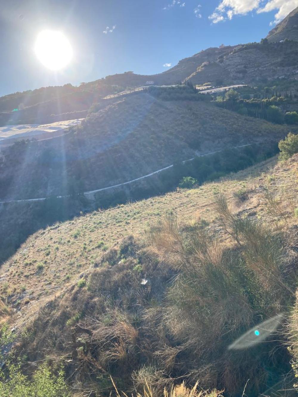  en venta finca rústica Molvízar Costa Tropical 1