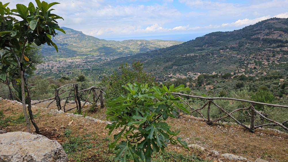  en venta finca rústica Fornalutx Tramuntana 15