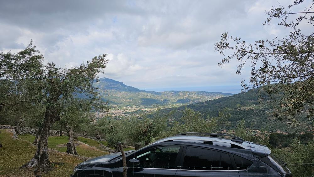 en venta finca rústica Fornalutx Tramuntana 24