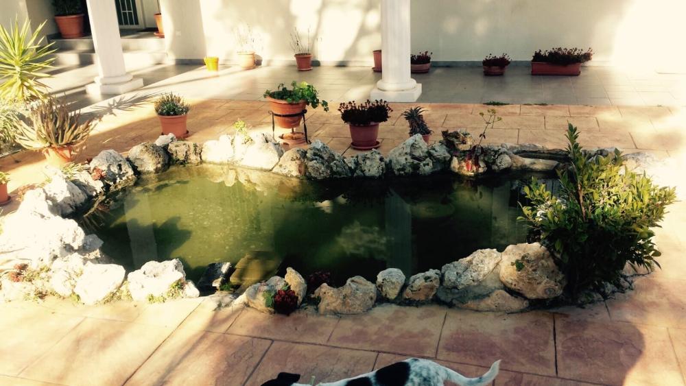  en venta mansion Picassent Horta Sud 16