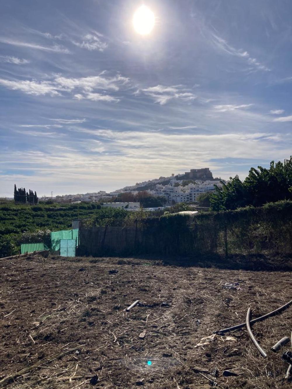  en venta finca rústica Salobreña Costa Tropical 2