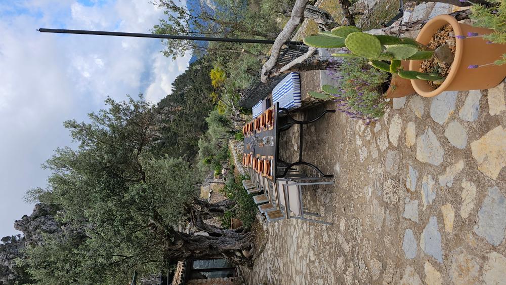  en venta finca rústica Fornalutx Tramuntana 12