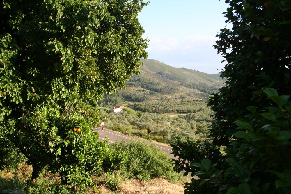  en venta casa de pueblo Gata Sierra De Gata 8