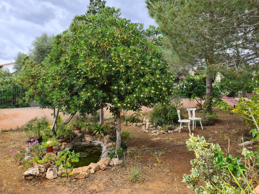  en venta chalet Sa Ràpita Sud 16