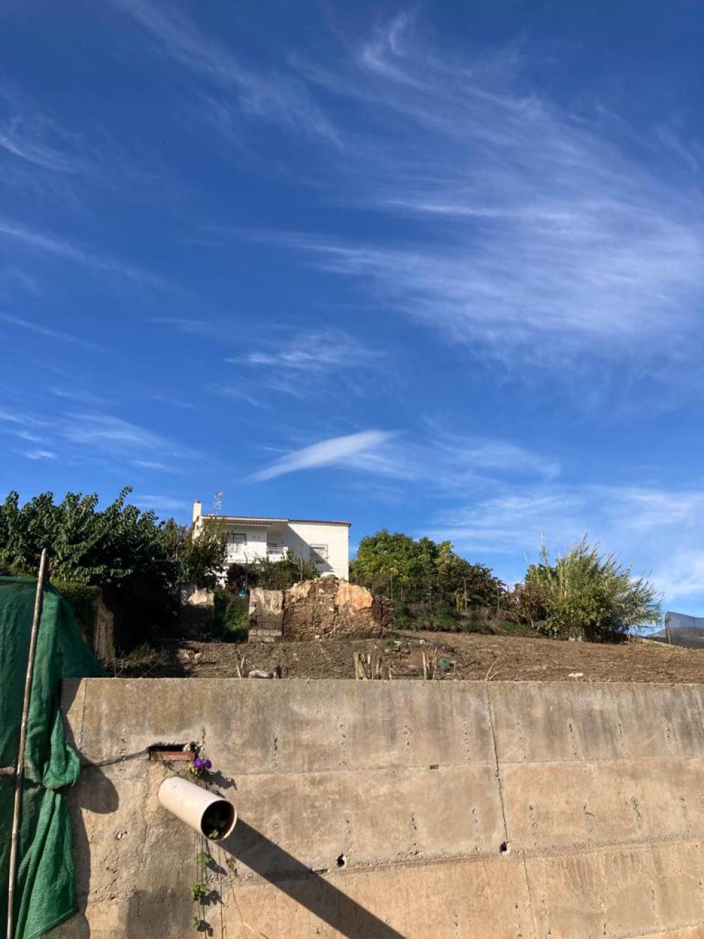  en venta finca rústica Salobreña Costa Tropical 7