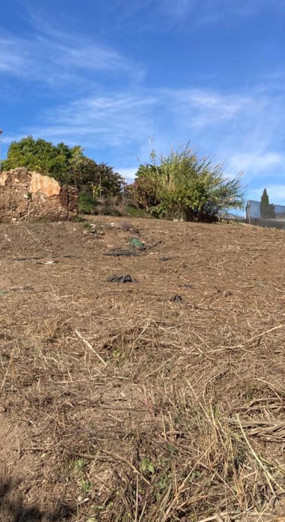  en venta finca rústica Salobreña Costa Tropical 10