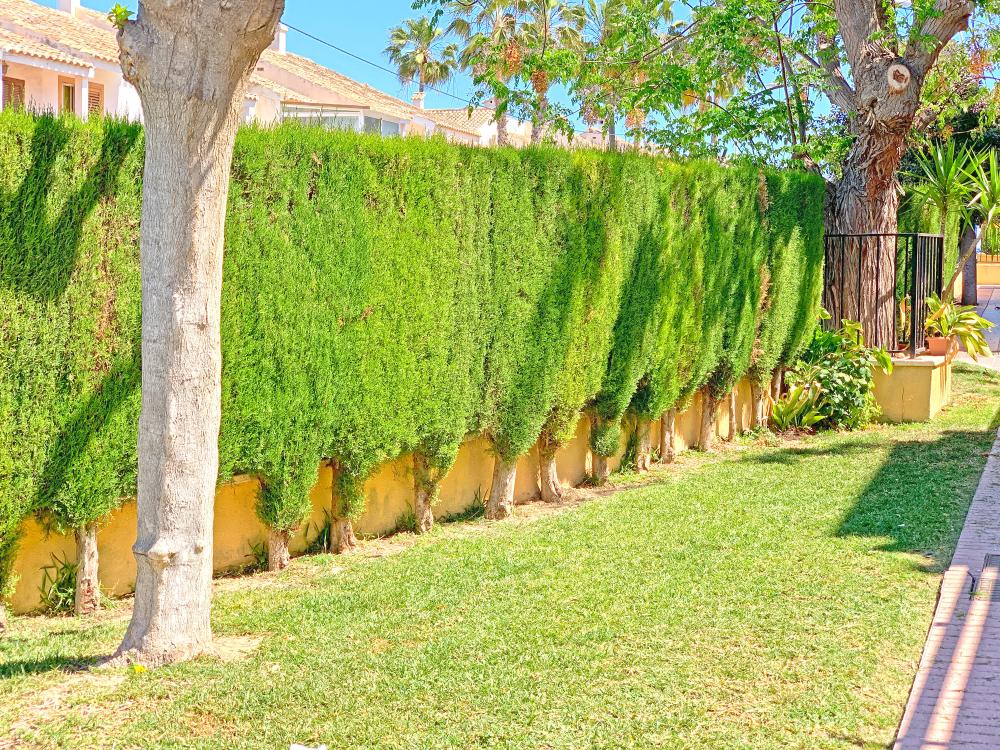  en venta pareado Gran Alacant Baix Vinalopó 35