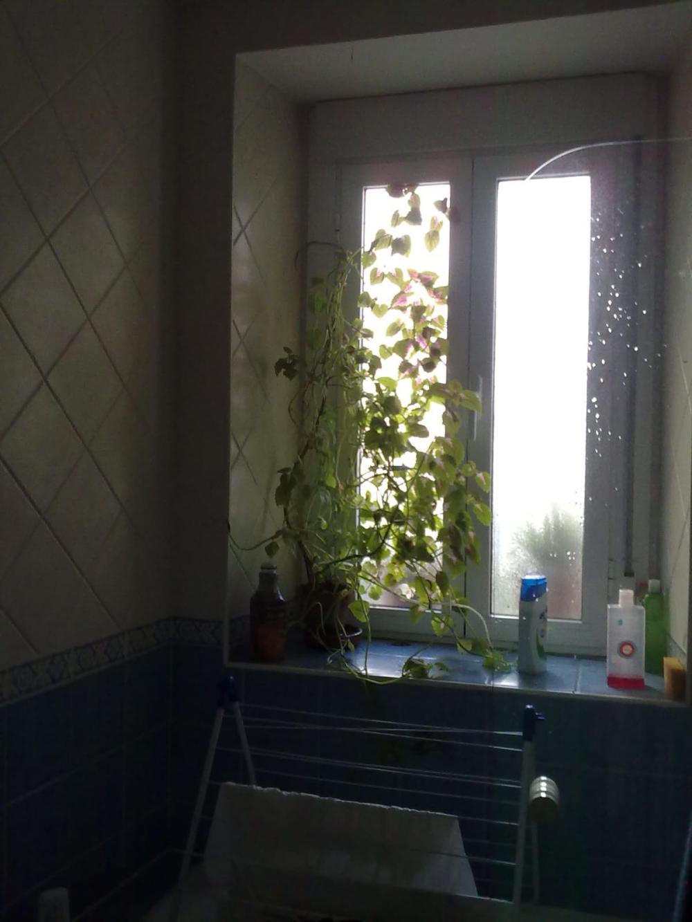  en venta apartamento Trujillo Trujillo 14