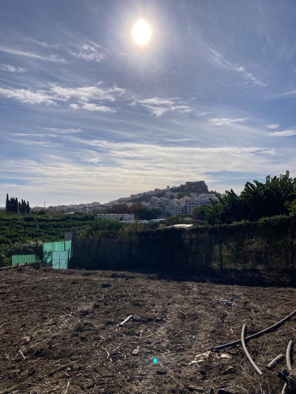  en venta finca rústica Salobreña Costa Tropical 12