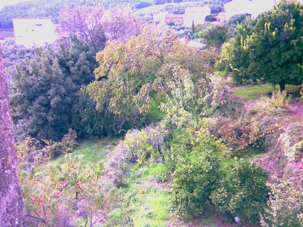  en venta casa de pueblo Gata Sierra De Gata 6