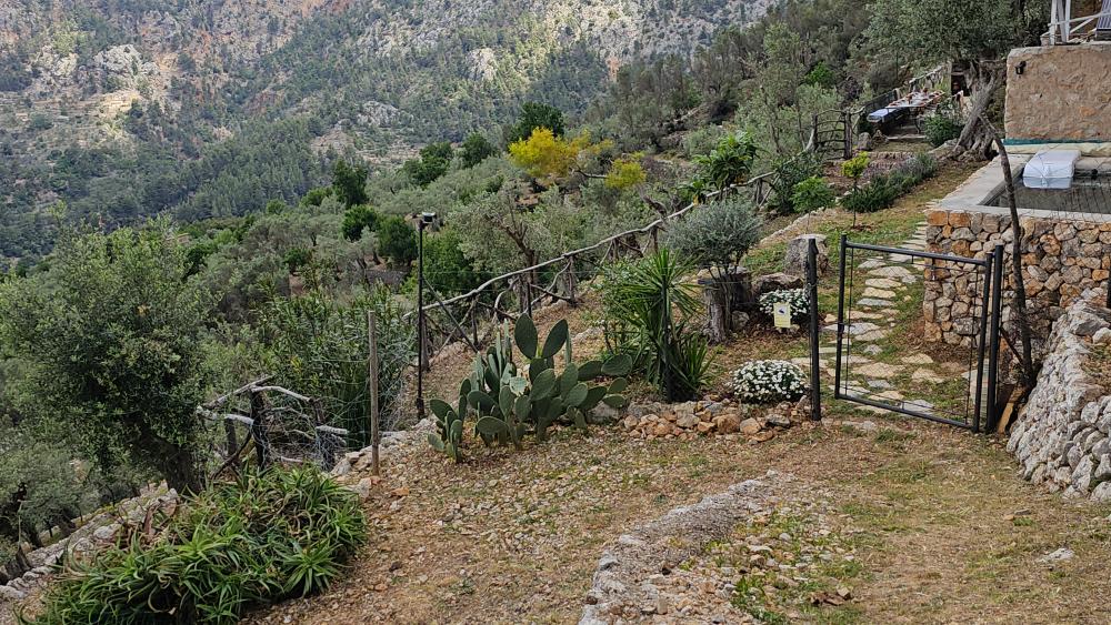  en venta finca rústica Fornalutx Tramuntana 28