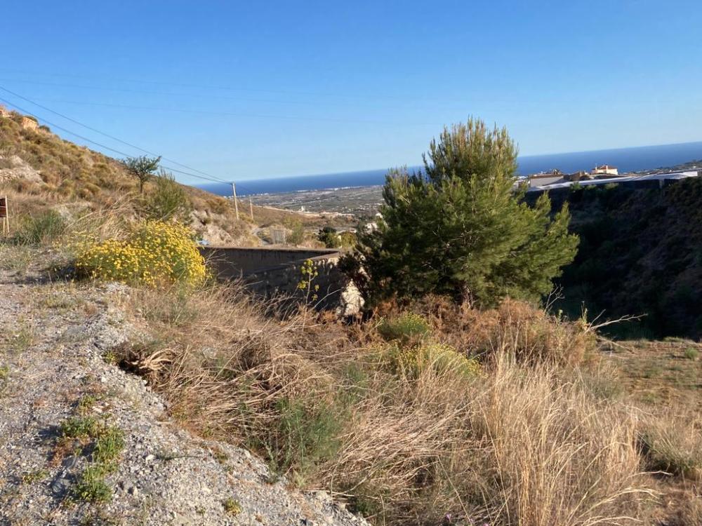  en venta finca rústica Molvízar Costa Tropical 2