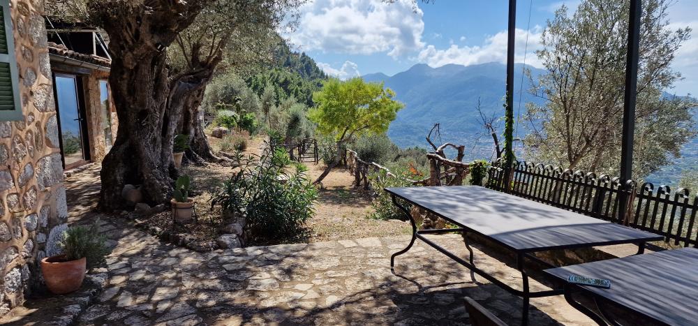  en venta finca rústica Fornalutx Tramuntana 6