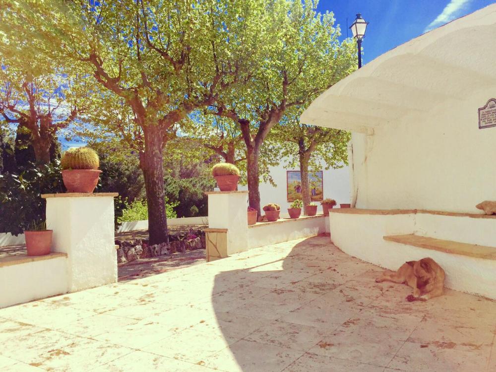  en venta chalet Almoster Baix Camp 78