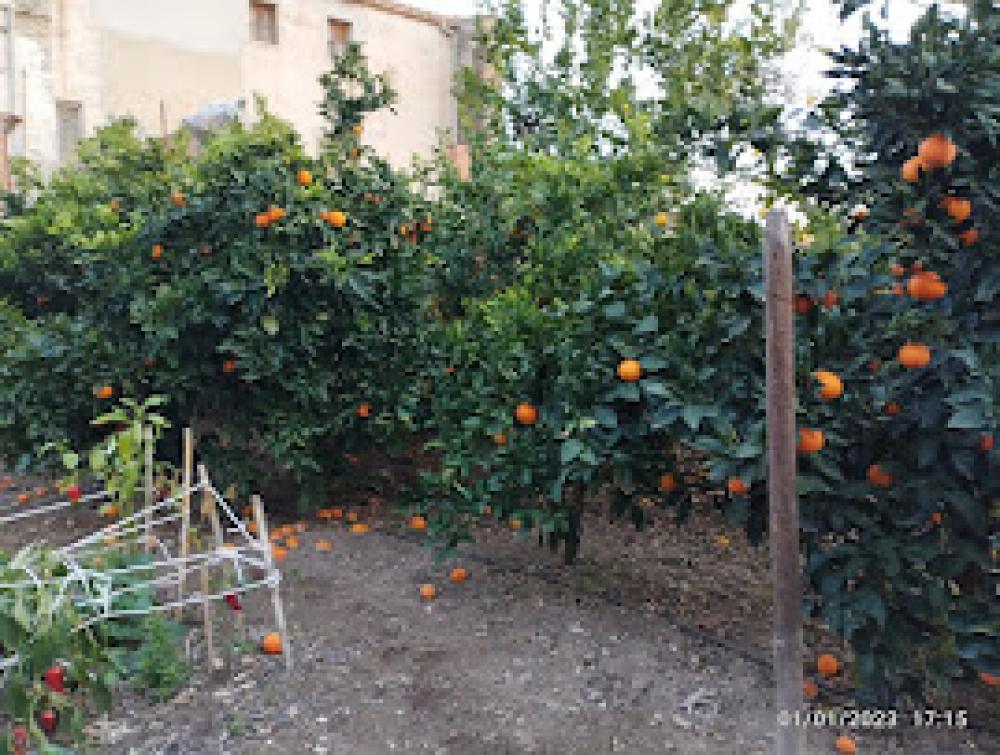  en venta casa Sant Quinti De Mediona Alt Penedès 6