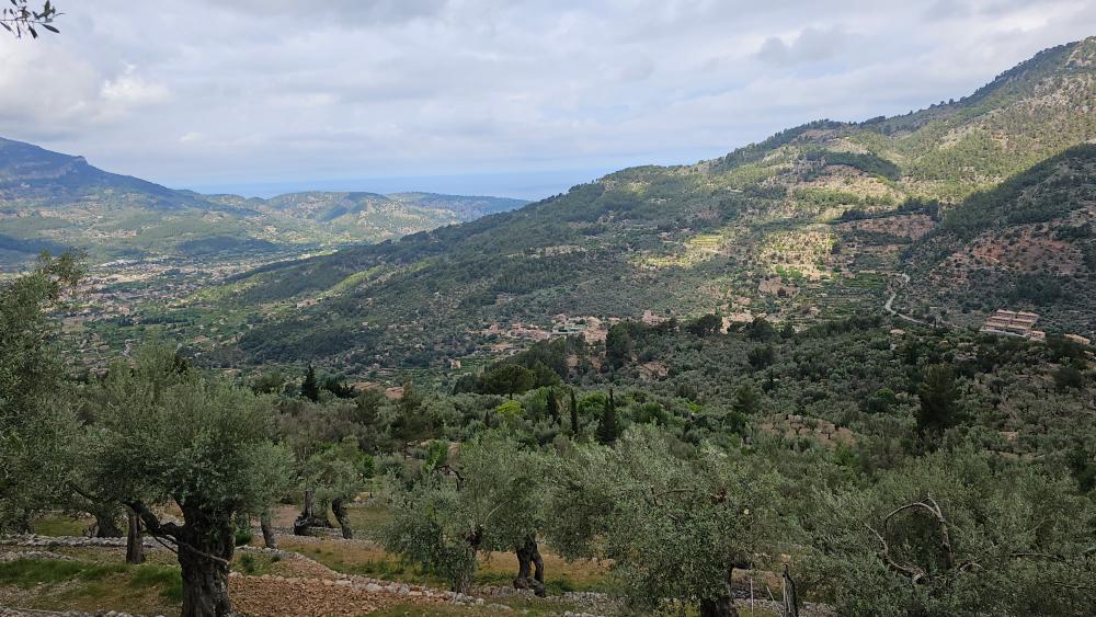  en venta finca rústica Fornalutx Tramuntana 25