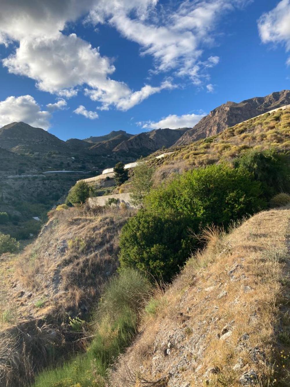  en venta finca rústica Molvízar Costa Tropical 5