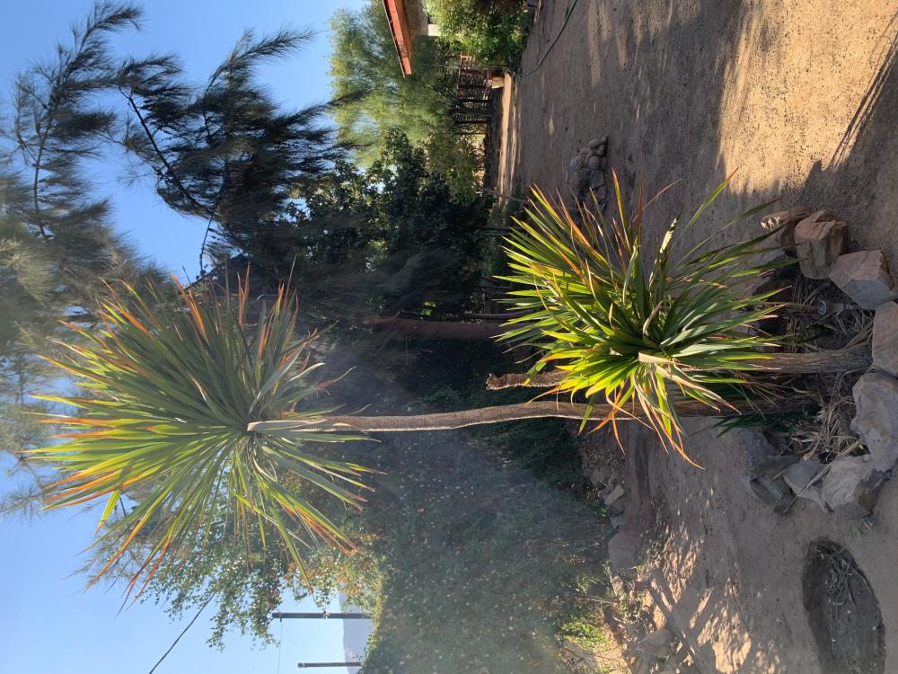  en venta casa Barrio De Panchito Ramos Tuineje 15