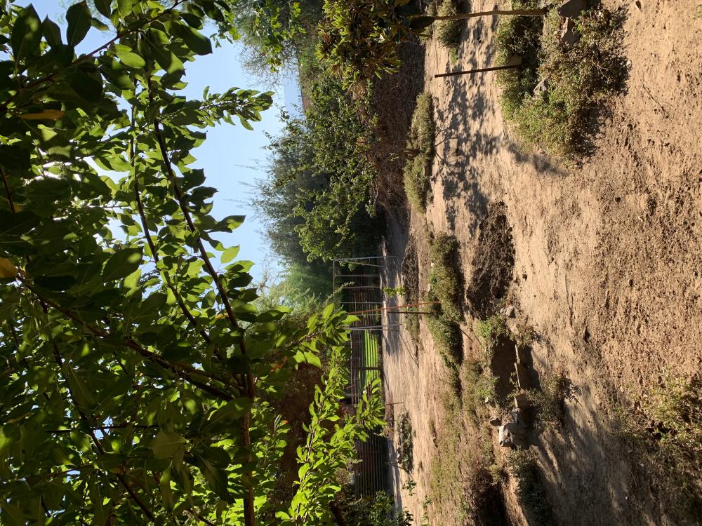  en venta casa Barrio De Panchito Ramos Tuineje 12