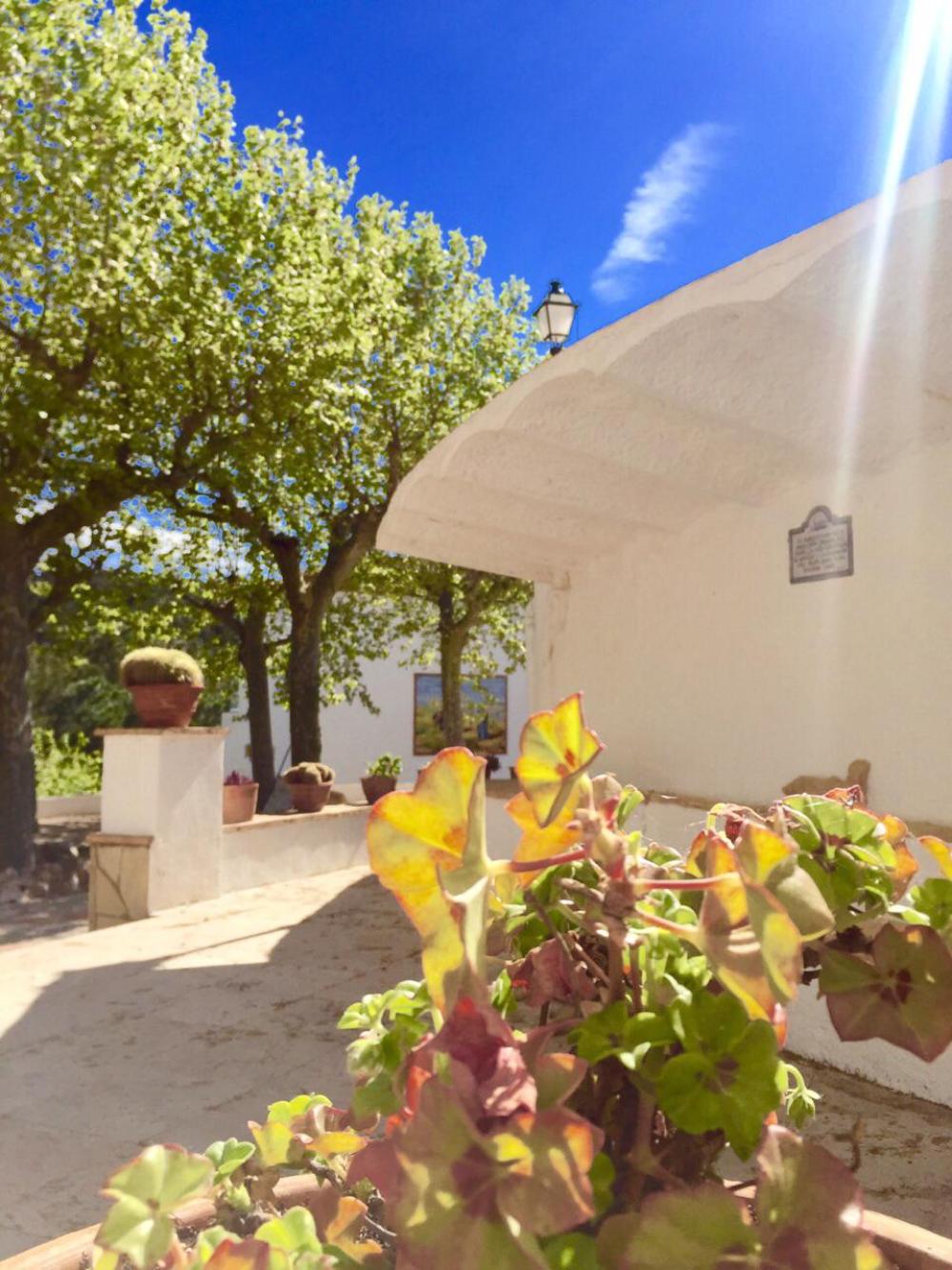  en venta chalet Almoster Baix Camp 80