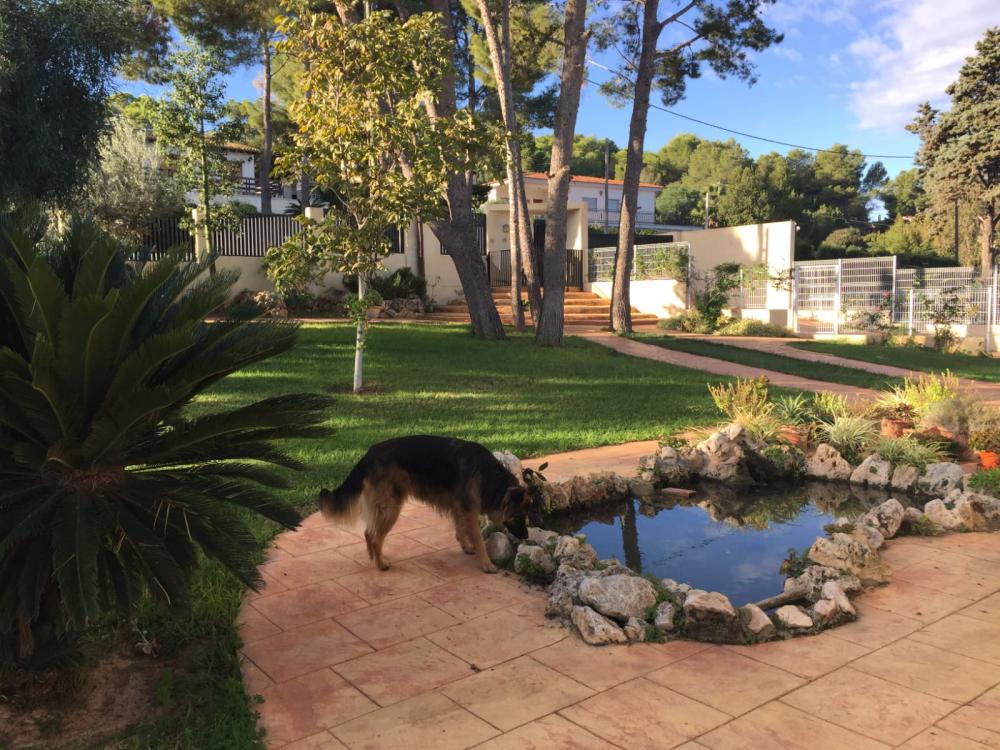  en venta mansion Picassent Horta Sud 4