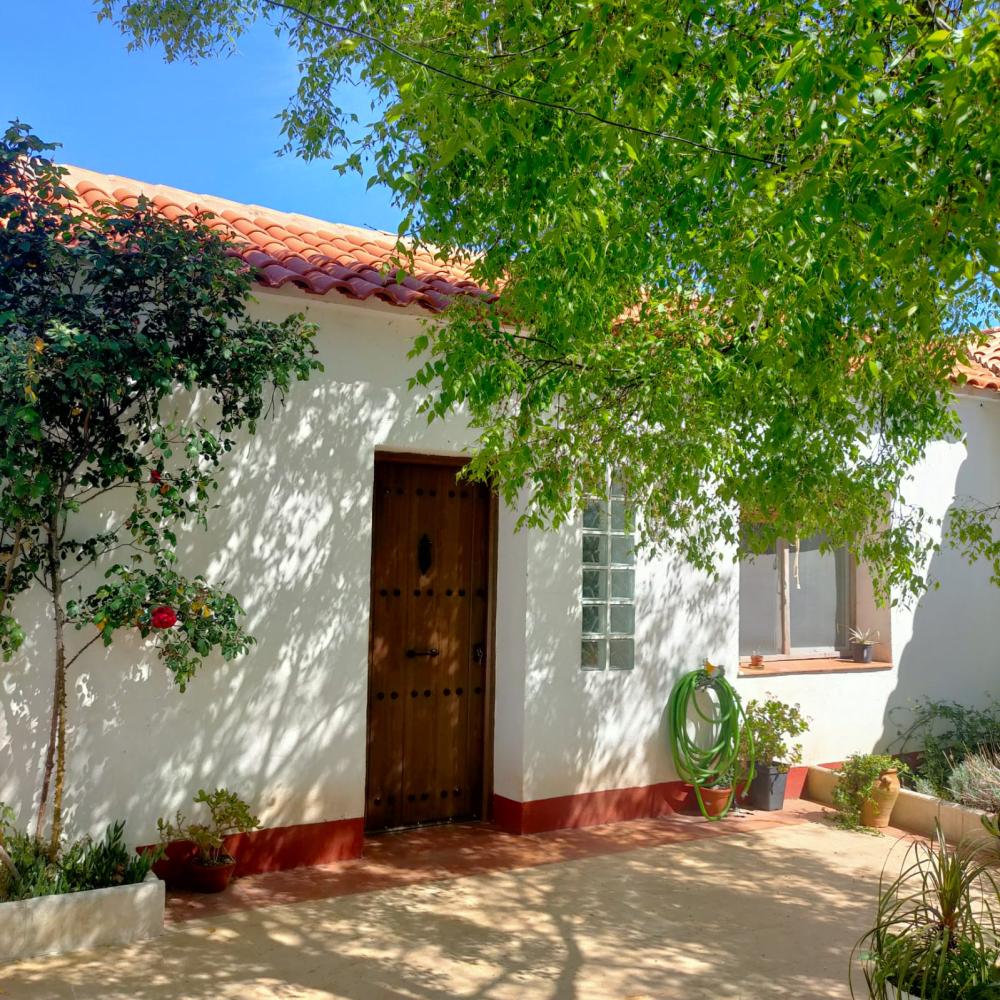  en venta finca rústica Espiel Valle Del Guadiato 24