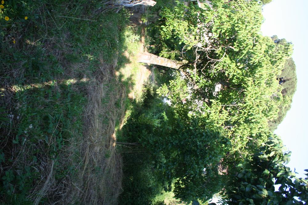  en venta casa de pueblo Gata Sierra De Gata 7