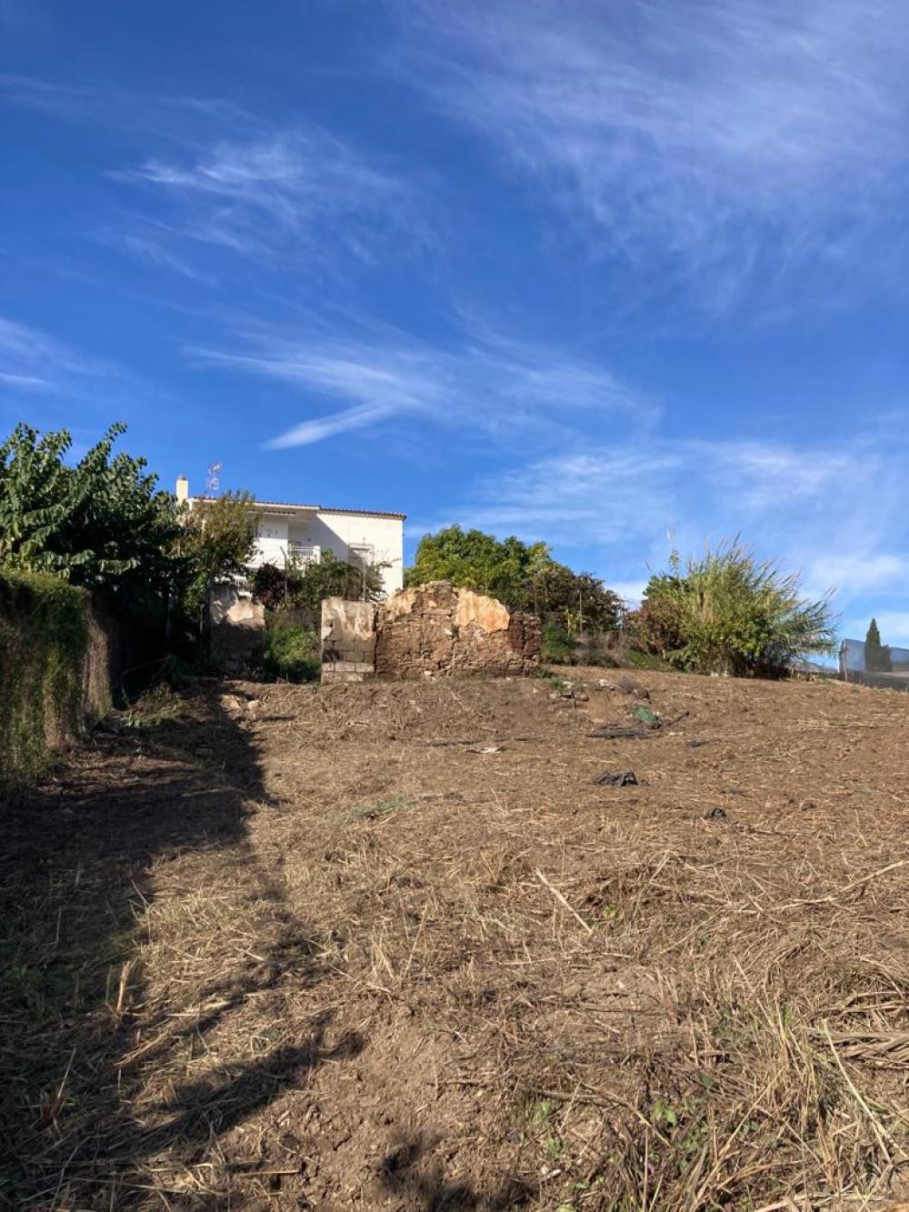  en venta finca rústica Salobreña Costa Tropical 1