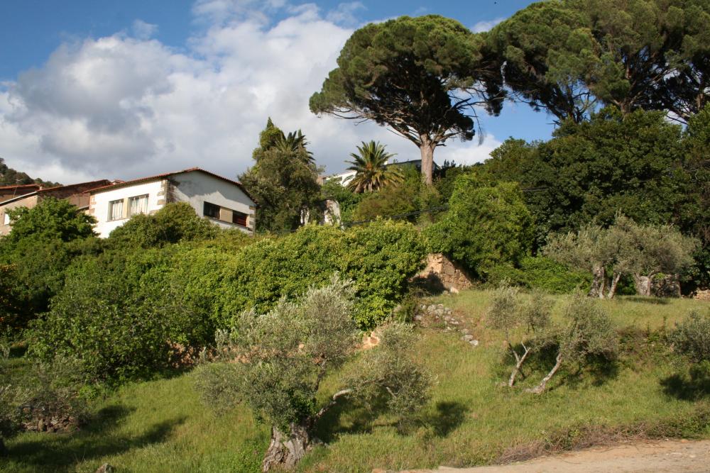  en venta casa de pueblo Gata Sierra De Gata 4