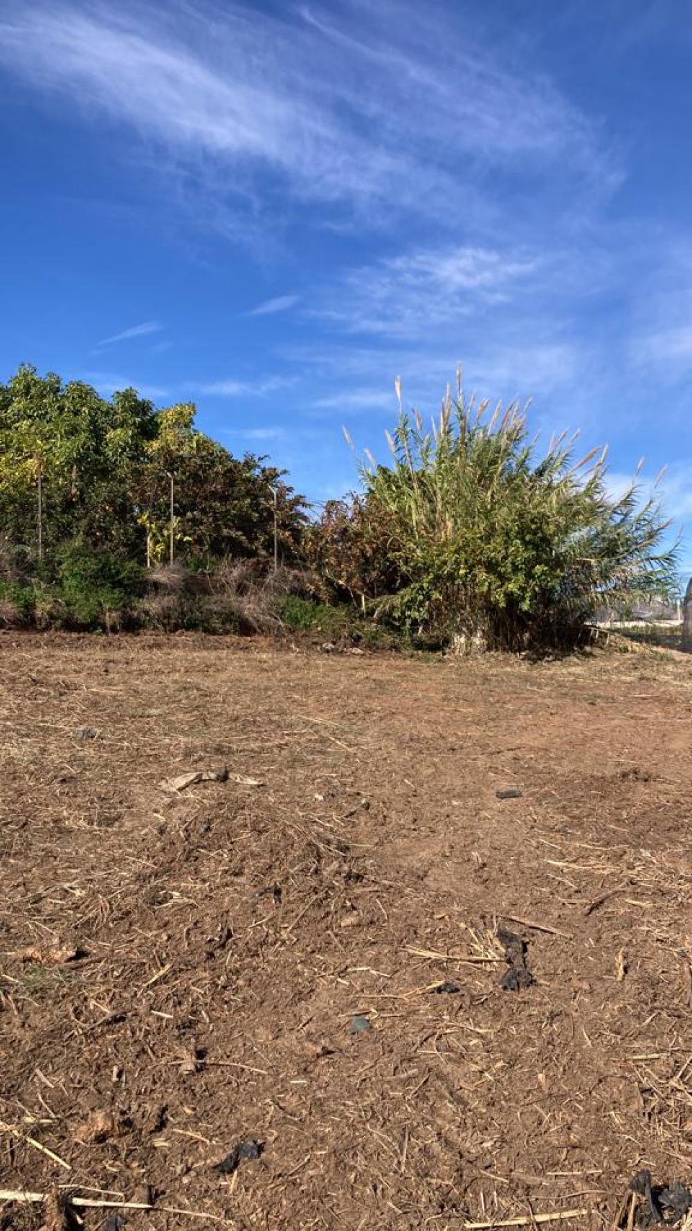  en venta finca rústica Salobreña Costa Tropical 9