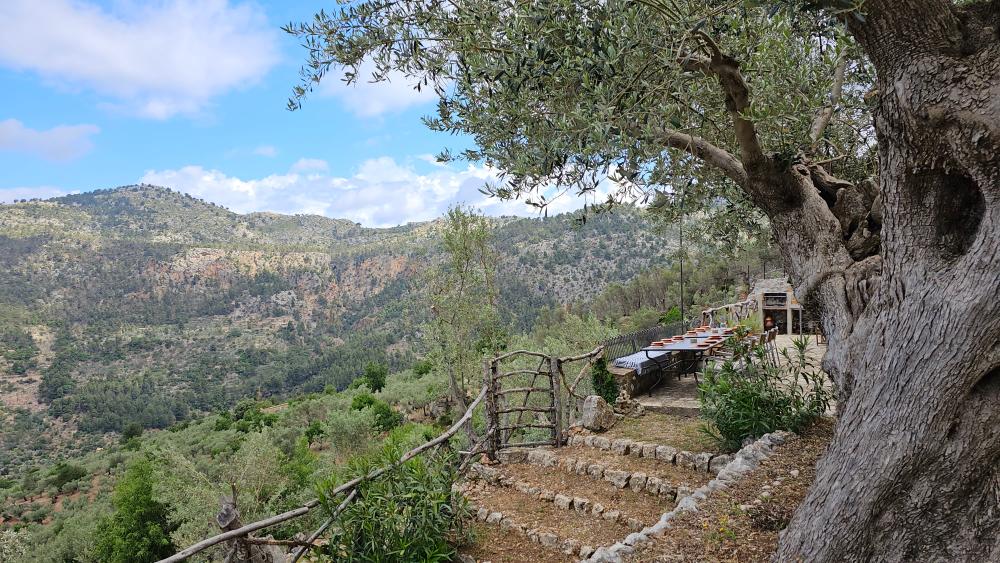  en venta finca rústica Fornalutx Tramuntana 14