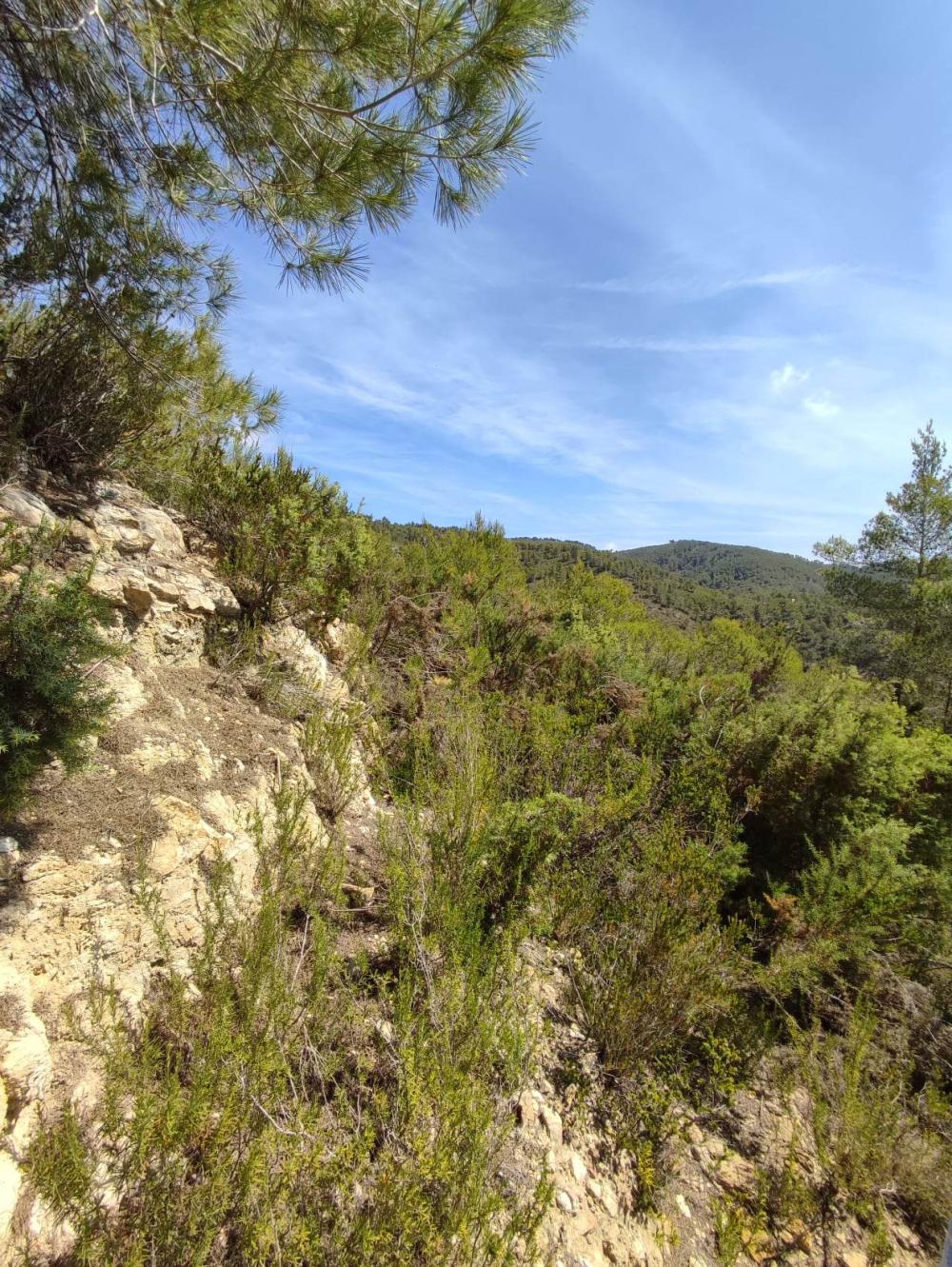  en venta terreno Sant Carles De Peralta Santa Eulària Des Riu 4