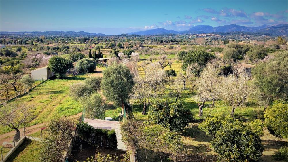  en venta pareado Campanet Raiguer 37