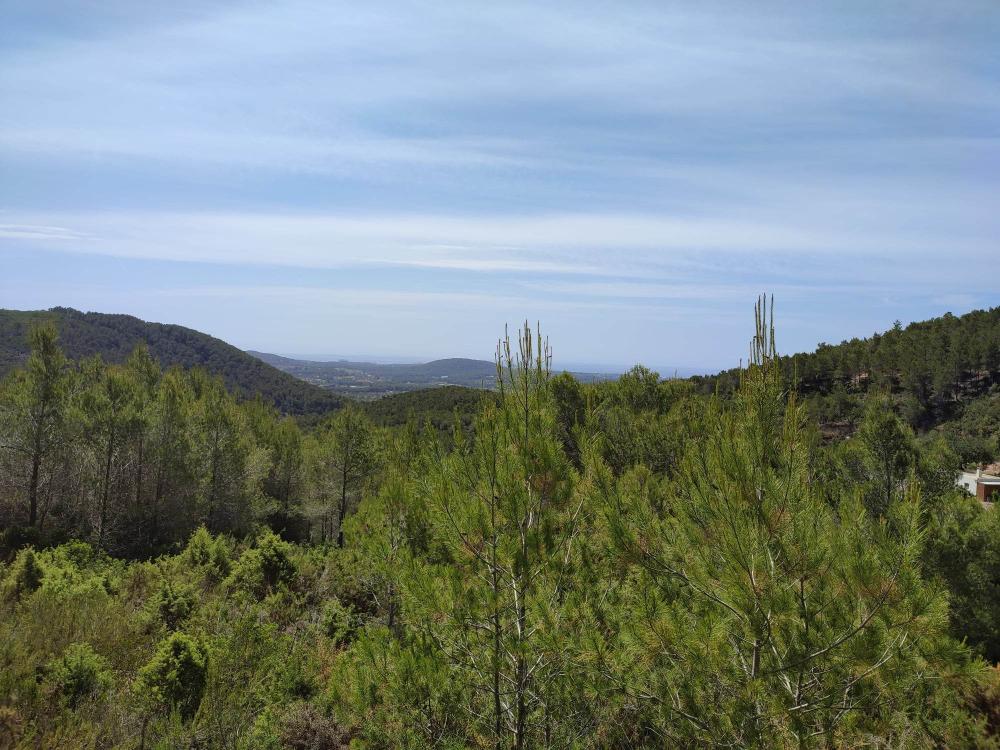  en venta terreno Sant Carles De Peralta Santa Eulària Des Riu 2