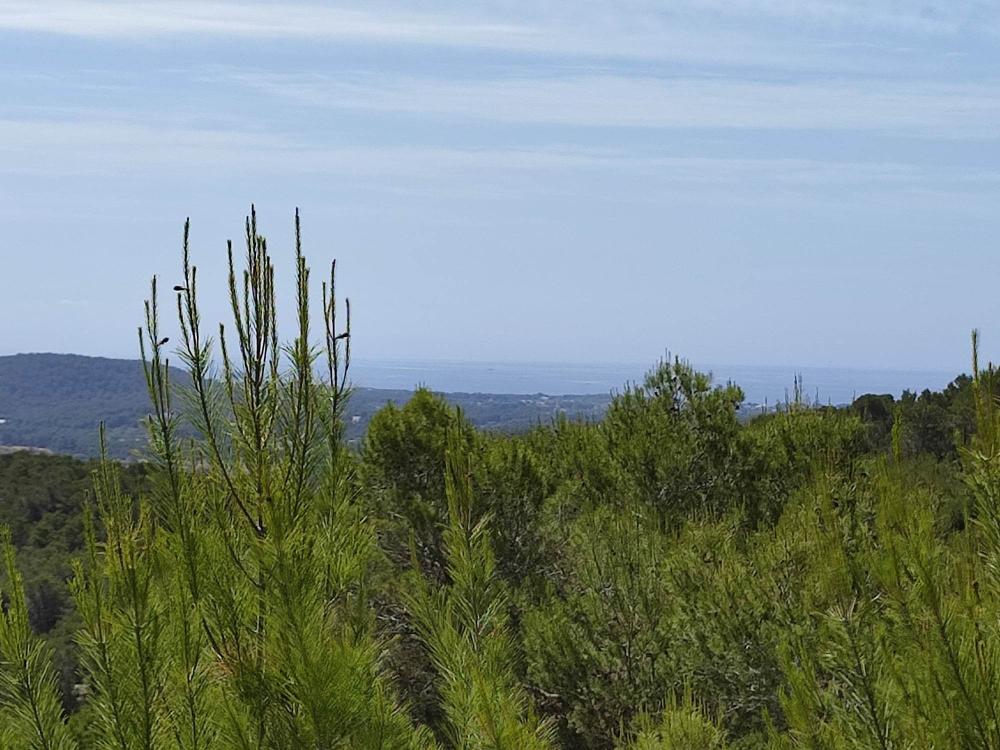  en venta terreno Sant Carles De Peralta Santa Eulària Des Riu 1