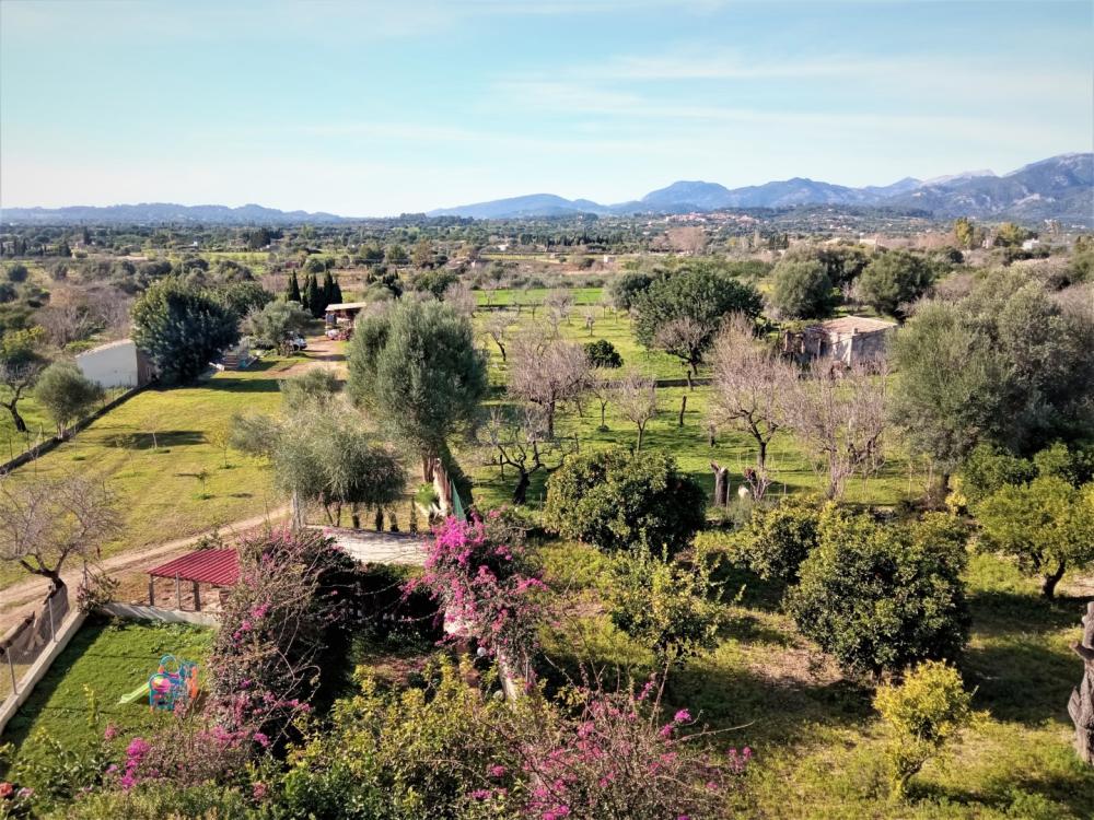  en venta pareado Campanet Raiguer 38
