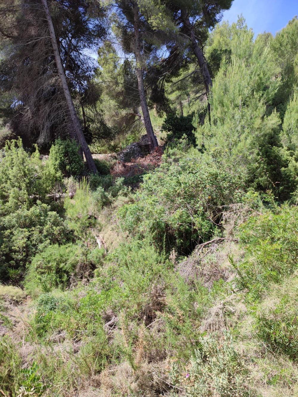  en venta terreno Sant Carles De Peralta Santa Eulària Des Riu 5