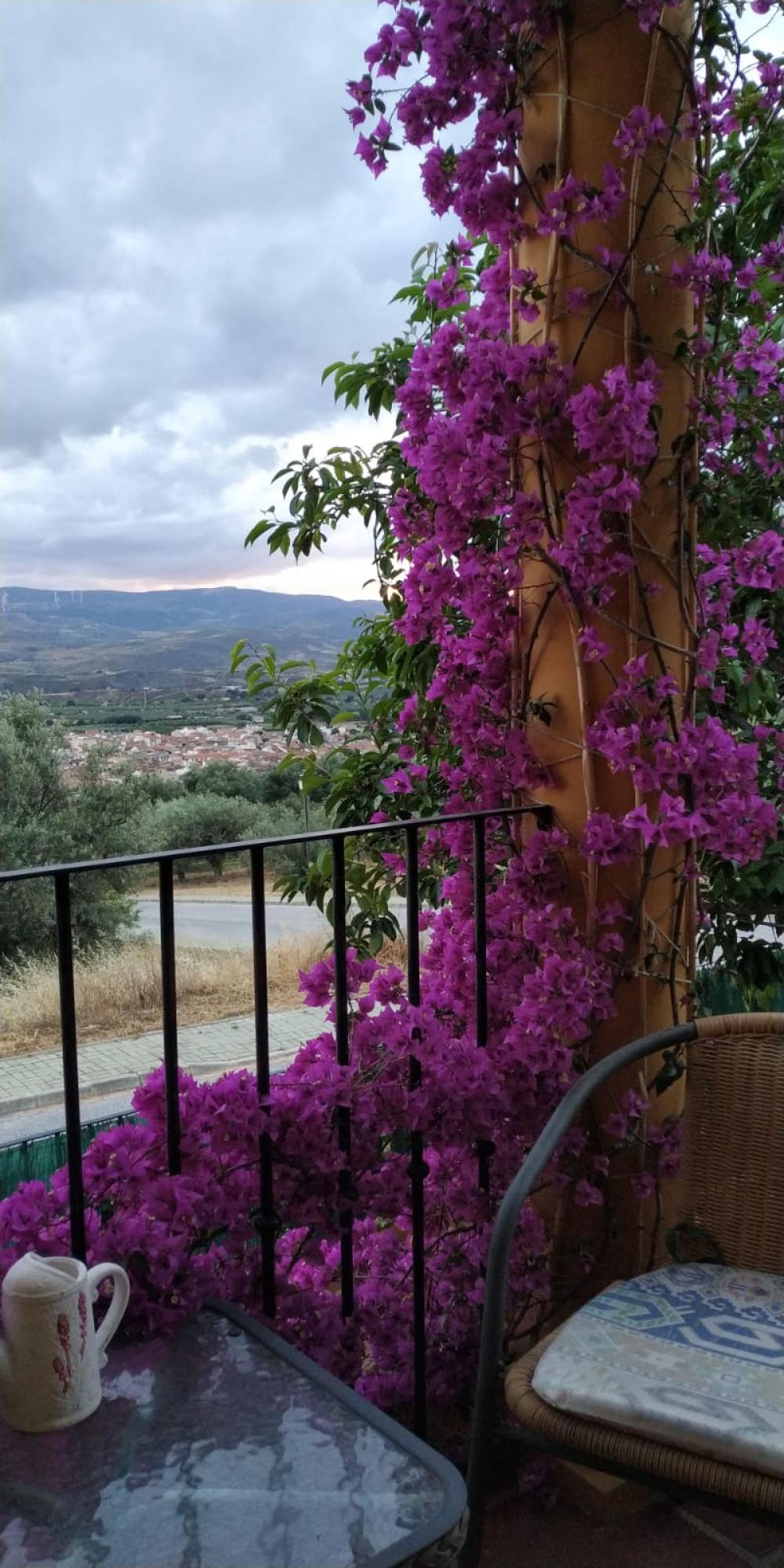  en venta chalet Dúrcal Valle De Lecrín 40