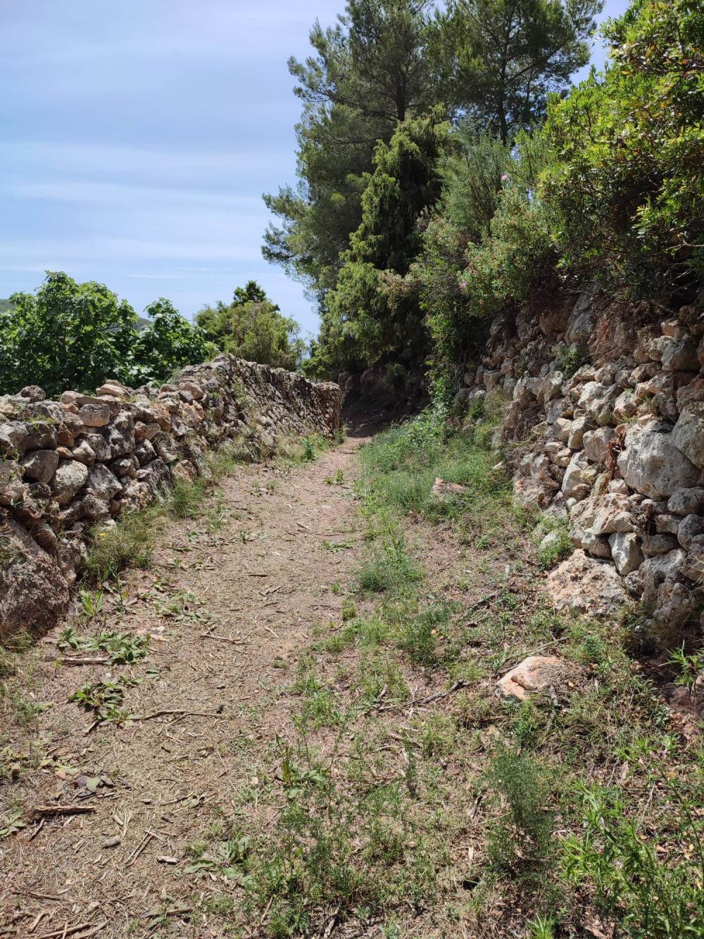 en venta terreno Sant Carles De Peralta Santa Eulària Des Riu 3