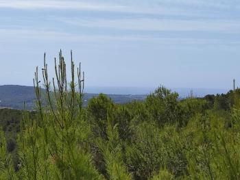 Sant Carles De Peralta Santa Eulària Des Riu terreno foto 5454034