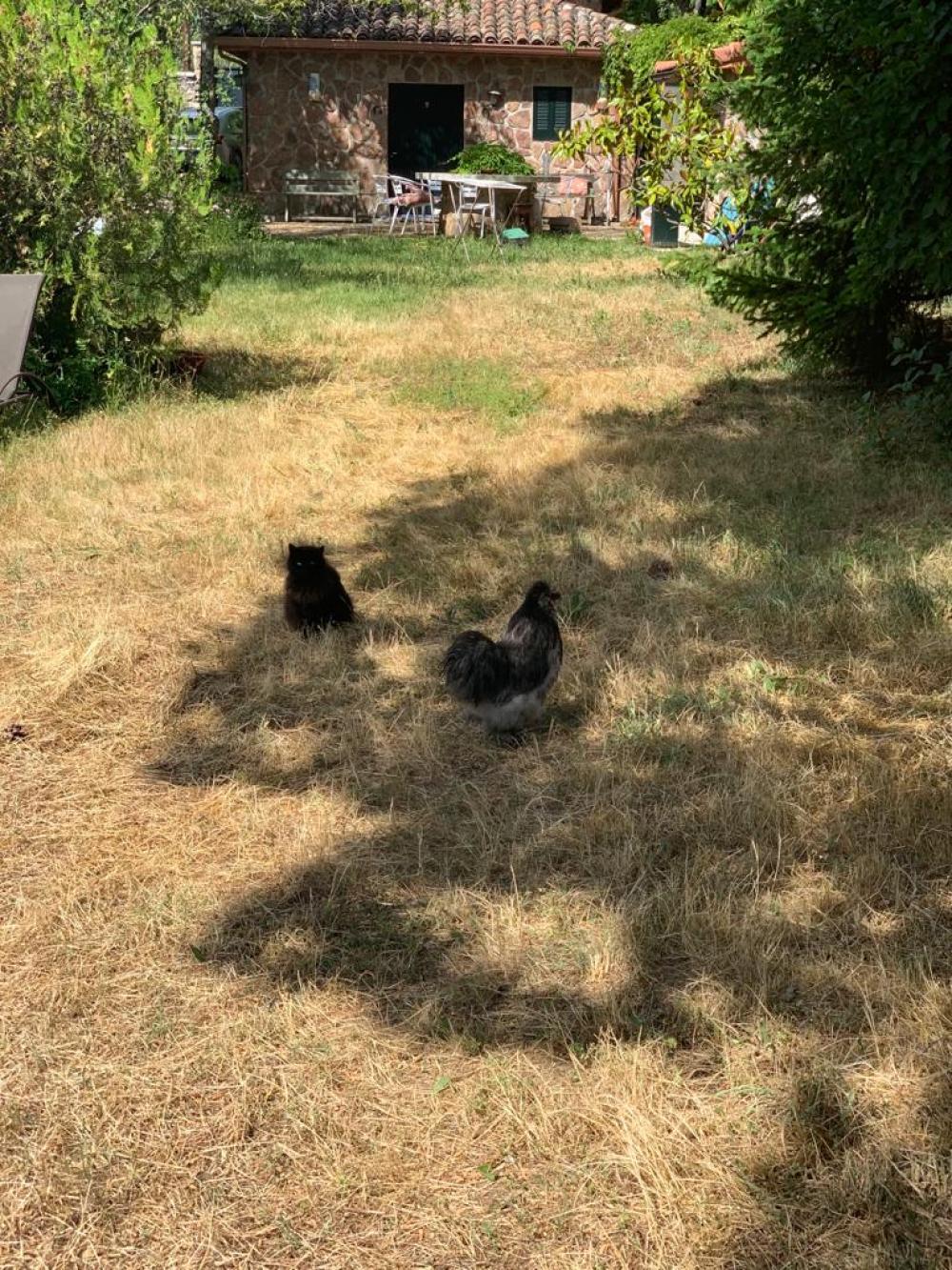  en venta finca rústica Miraflores De La Sierra Cuenca Alta Del Manzanares 8