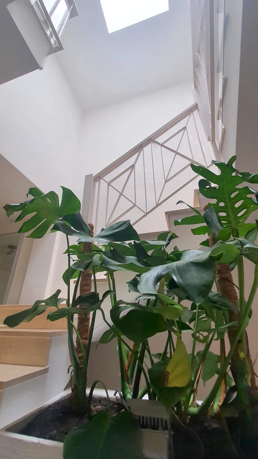  en venta chalet L'almaixada Alacantí 6