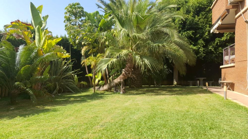  en venta chalet L'almaixada Alacantí 5