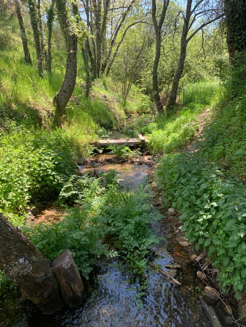  en venta finca rústica Miraflores De La Sierra Cuenca Alta Del Manzanares 3