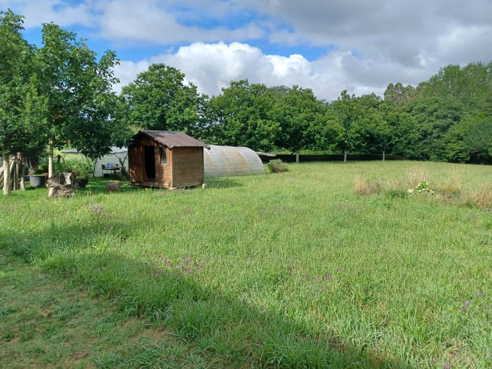  en venta finca rústica A Gandara Ferrol 4