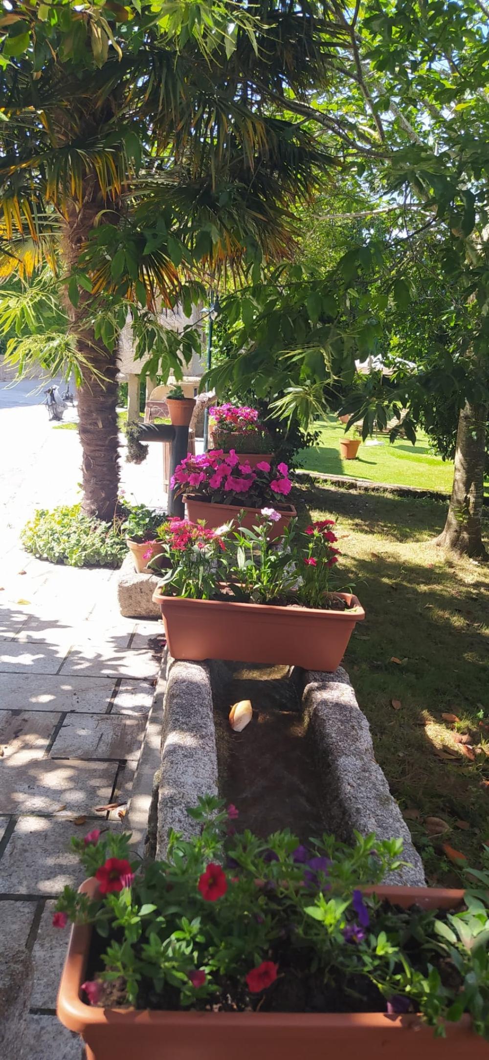  en venta hotel O Valado Morrazo 12