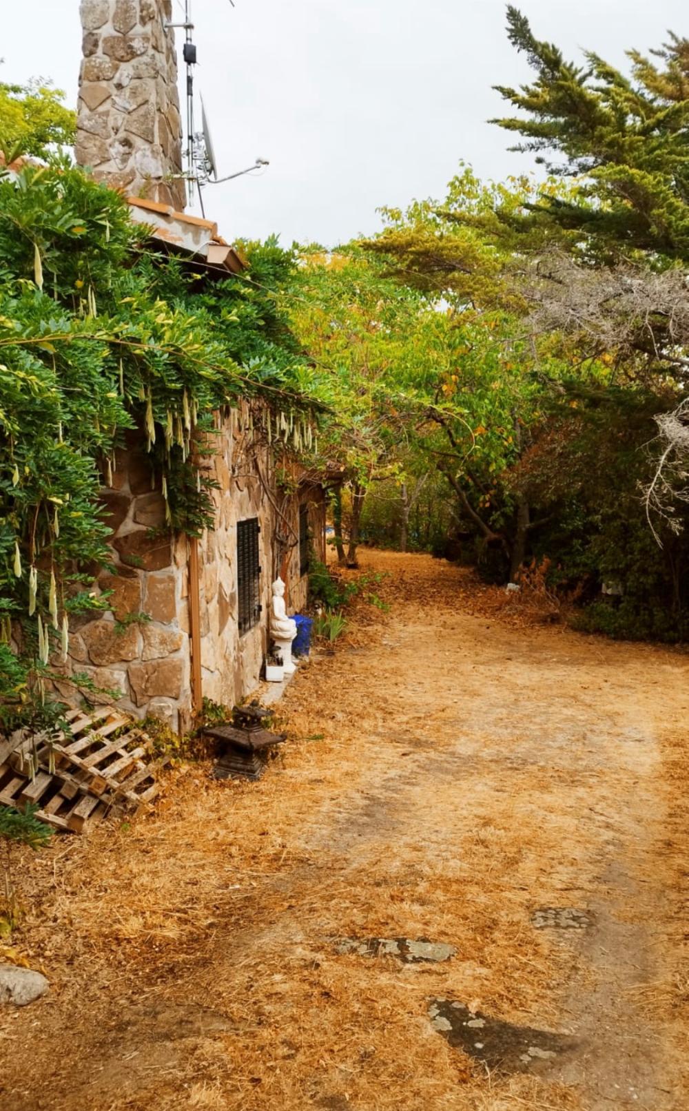  en venta finca rústica Miraflores De La Sierra Cuenca Alta Del Manzanares 2