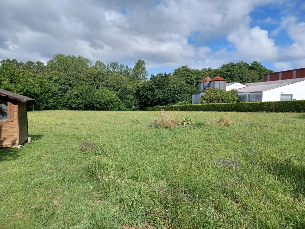  en venta finca rústica A Gandara Ferrol 5